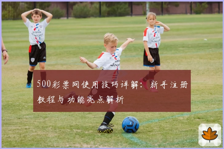 500彩票网使用技巧详解：新手注册教程与功能亮点解析