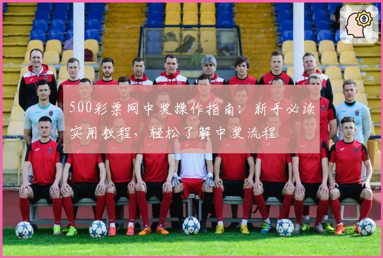 500彩票网中奖操作指南：新手必读实用教程，轻松了解中奖流程