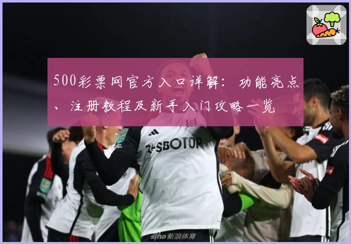 500彩票网官方入口详解：功能亮点、注册教程及新手入门攻略一览