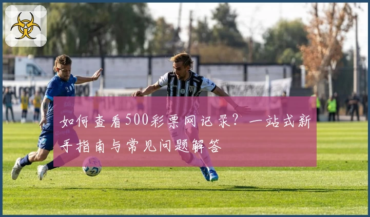 如何查看500彩票网记录？一站式新手指南与常见问题解答