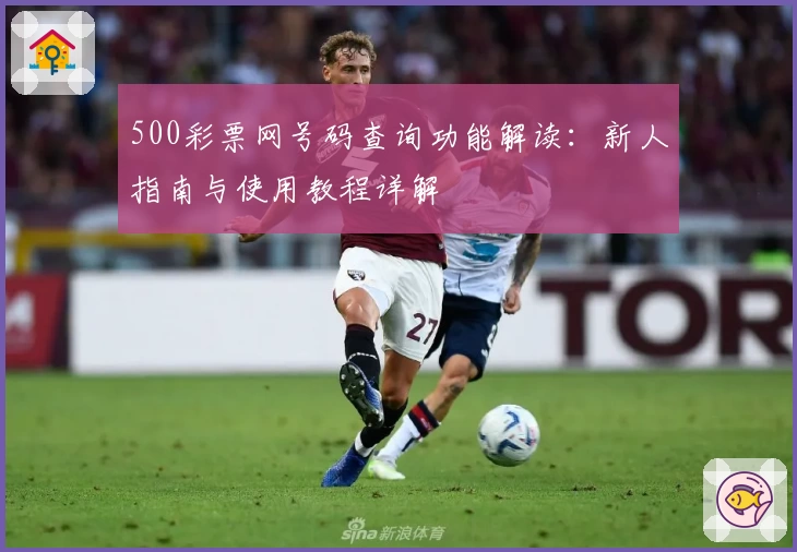 500彩票网号码查询功能解读：新人指南与使用教程详解